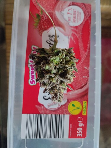 Growreport Bild 38