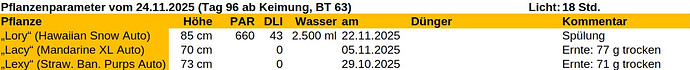 Growreport Bild 22
