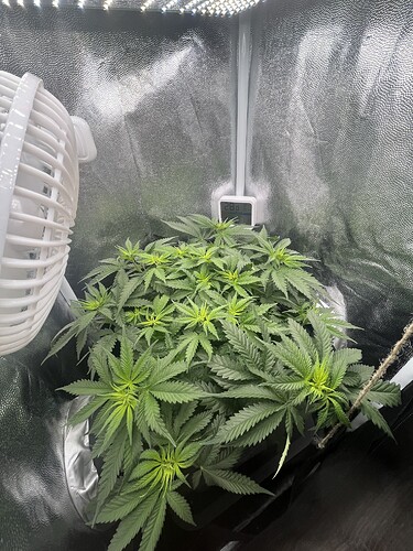Growreport Bild 1