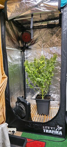 Growreport Bild 8