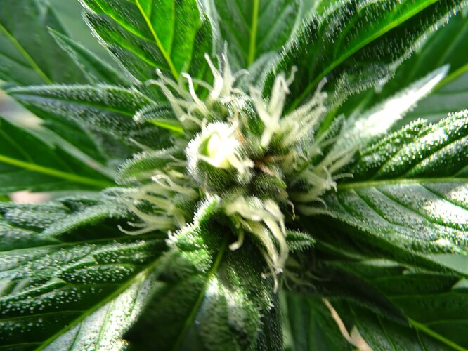 Growreport Bild 13