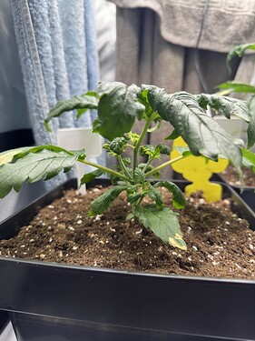 Growreport Bild 21