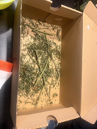 Growreport Bild 23
