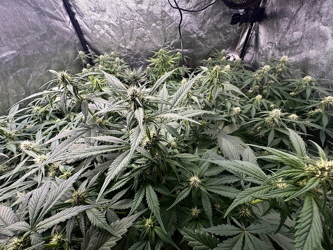 Growreport Bild 7