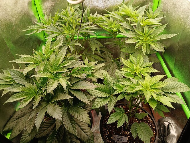 Growreport Bild 10