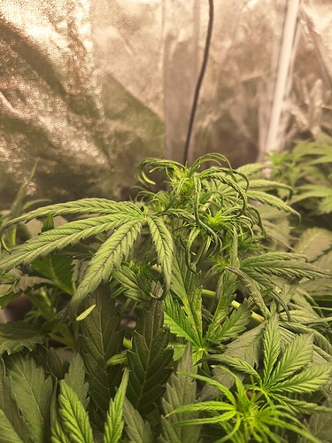 Growreport Bild 6