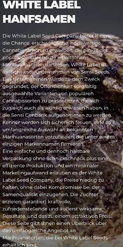 Screenshot_20250510_173009_Chrome