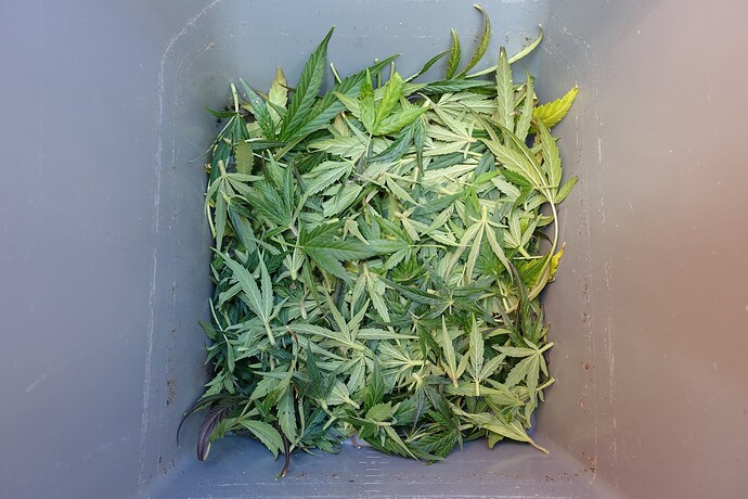 Growreport Bild 10