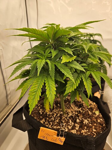 Growreport Bild 22