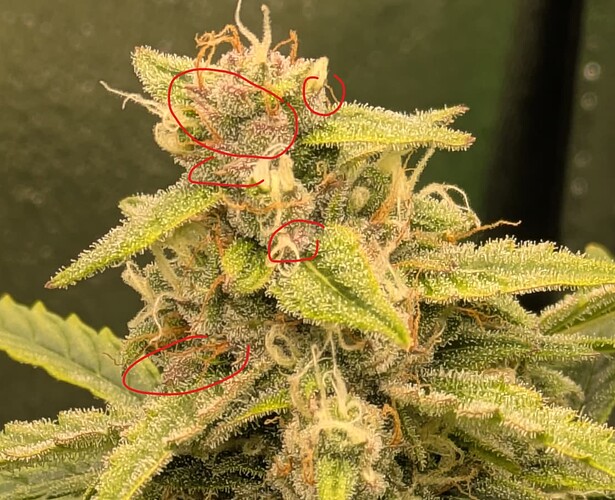 Growreport Bild 15