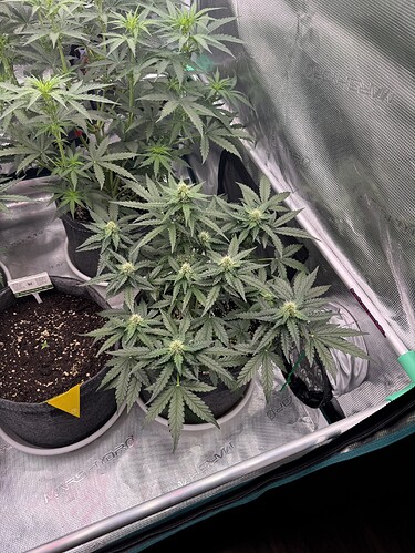 Growreport Bild 24