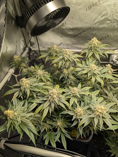 Growreport Bild 2