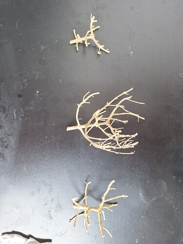Growreport Bild 3