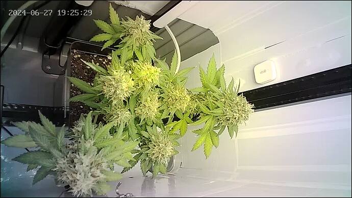 Growreport Bild 5