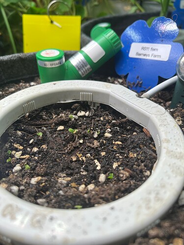 Growreport Bild 26