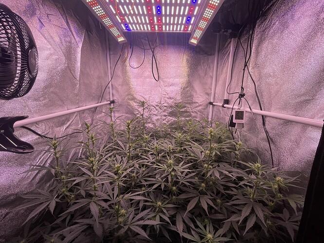Growreport Bild 10