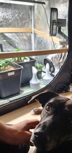 Growreport Bild 9