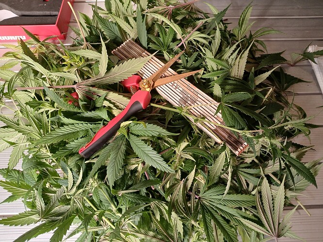 Growreport Bild 16