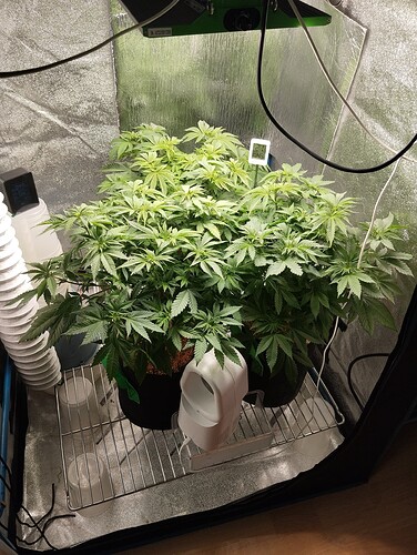 Growreport Bild 9