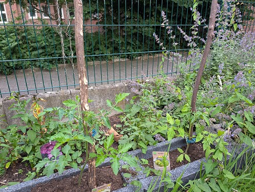 PXL_20250625_183705272