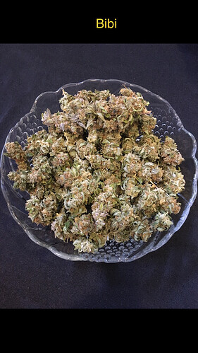 Growreport Bild 7