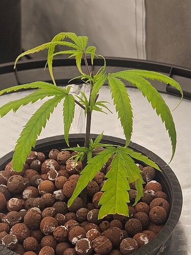 Growreport Bild 27