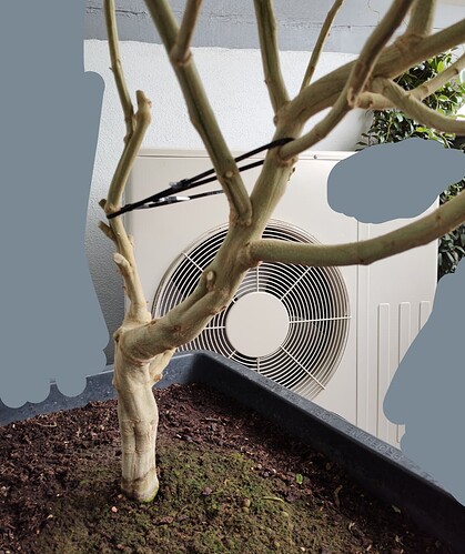 Screenshot_20251020-120130.Cx Datei Explorer