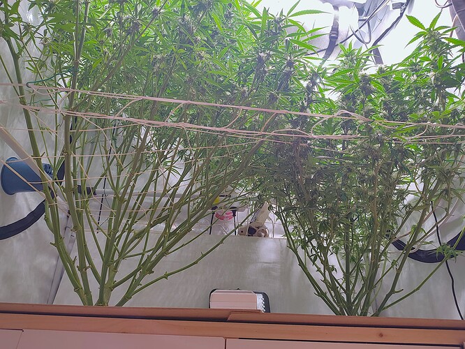 Growreport Bild 4