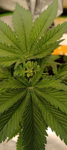 Growreport Bild 12