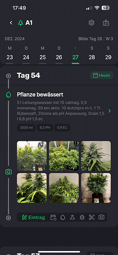 Growreport Bild 1