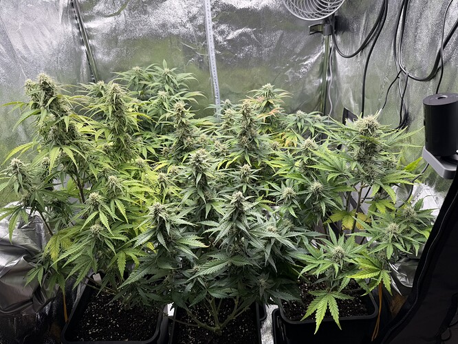 Growreport Bild 7