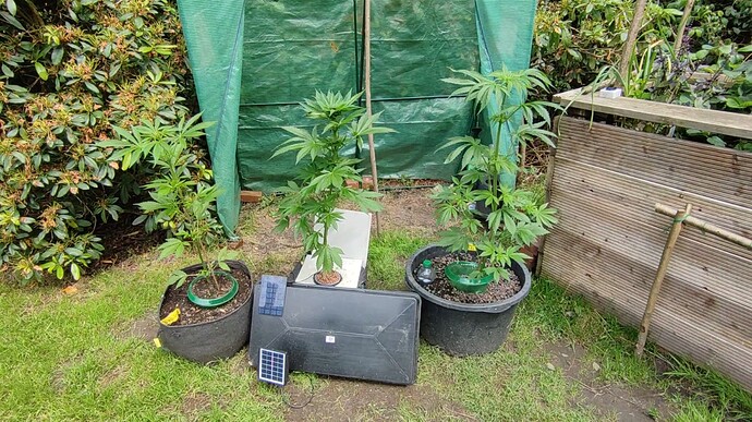 Screenshot 2024-06-18 144535