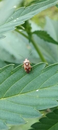 IMG_20250501_070425_431