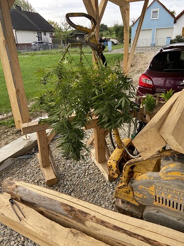 Growreport Bild 6