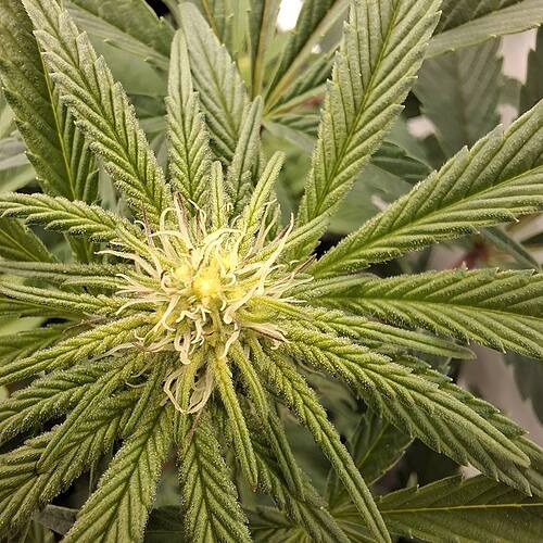 Growreport Bild 17