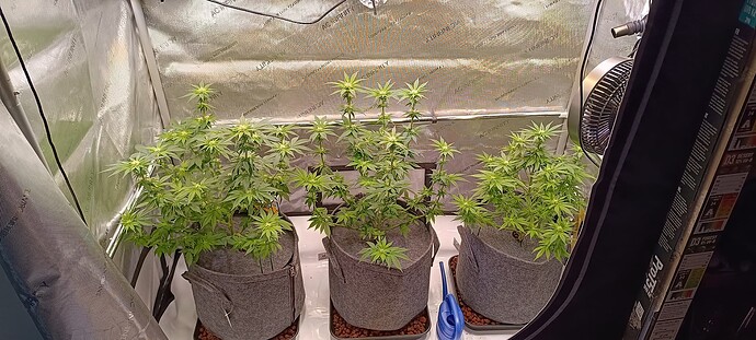 Growreport Bild 9