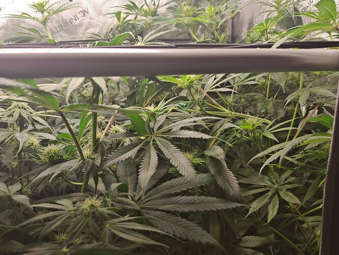 Growreport Bild 7