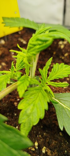 Growreport Bild 11