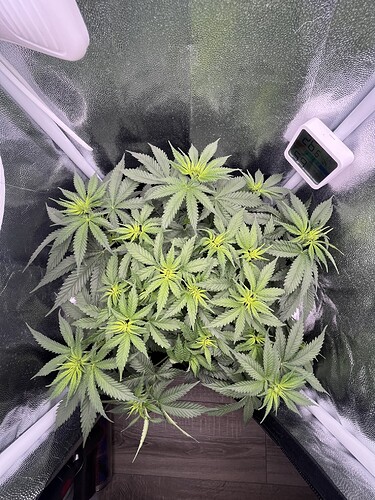 Growreport Bild 11