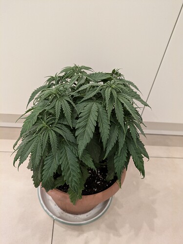 Growreport Bild 11