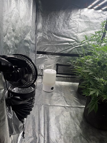 Growreport Bild 4
