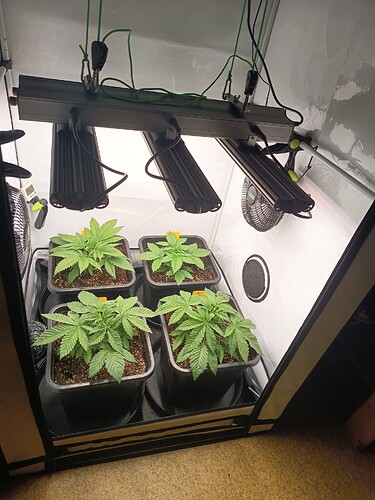 Growreport Bild 7