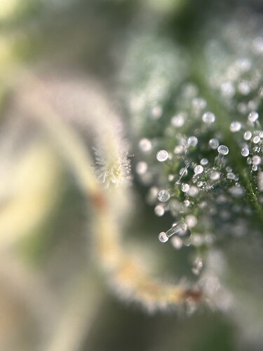 Growreport Bild 7