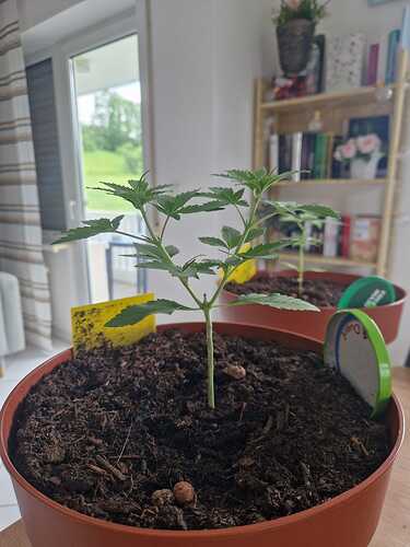 WhatsApp Image 2024-05-24 at 16.08.13