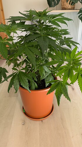 PXL_20240929_123012772