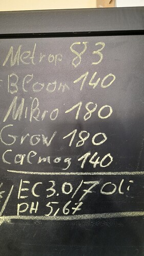 Growreport Bild 1