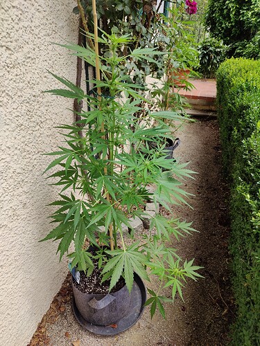 Growreport Bild 14