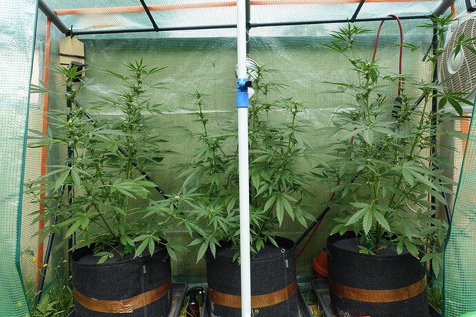 Growreport Bild 11