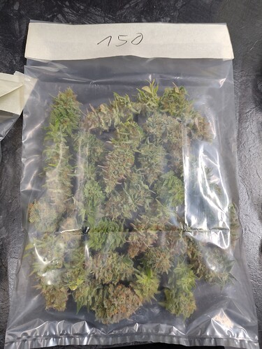 Growreport Bild 6