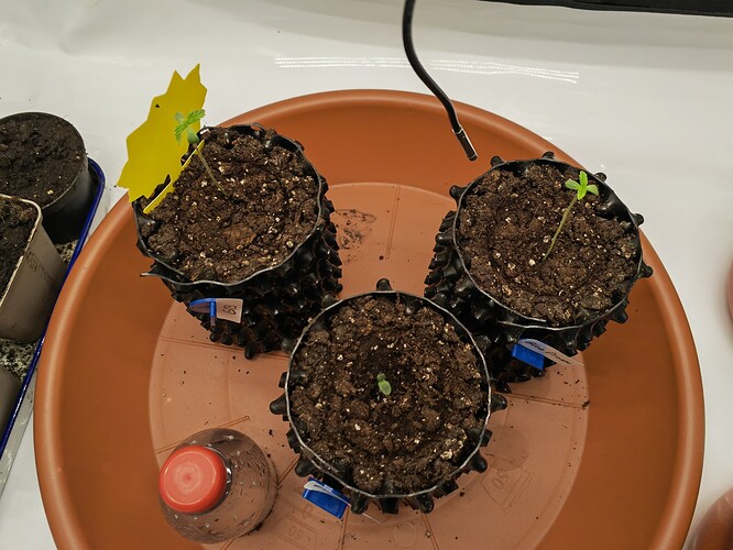 Growreport Bild 12